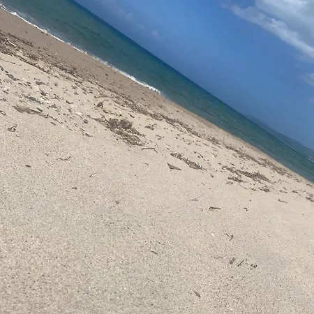 Palalama 3*